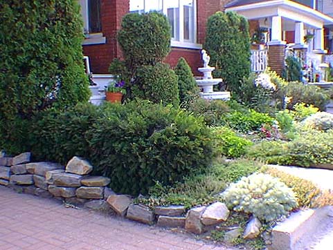 Front Yard