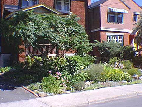 Front Yard
